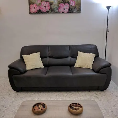 Anik Apartment