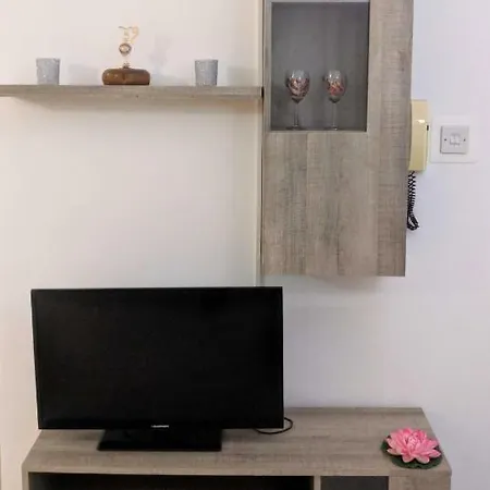 Apartment Anik